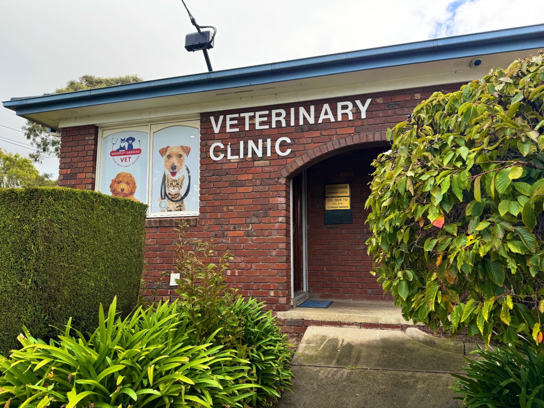 Examination room at Waverley Gardens Veterinary Hospital