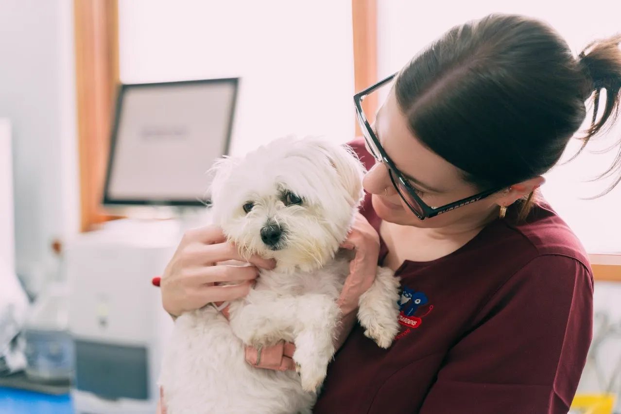 Preventative Health Care at Waverley Gardens Vet